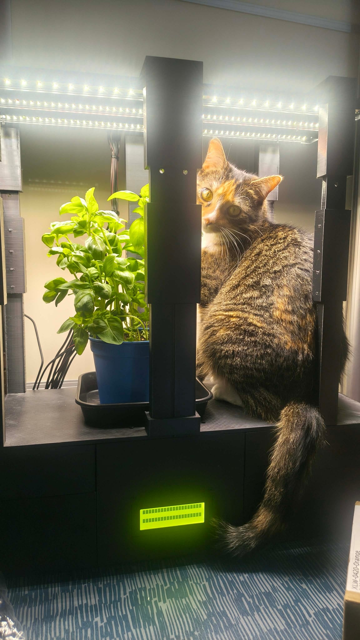 Growbox Prototyp - zdjęcie 14
